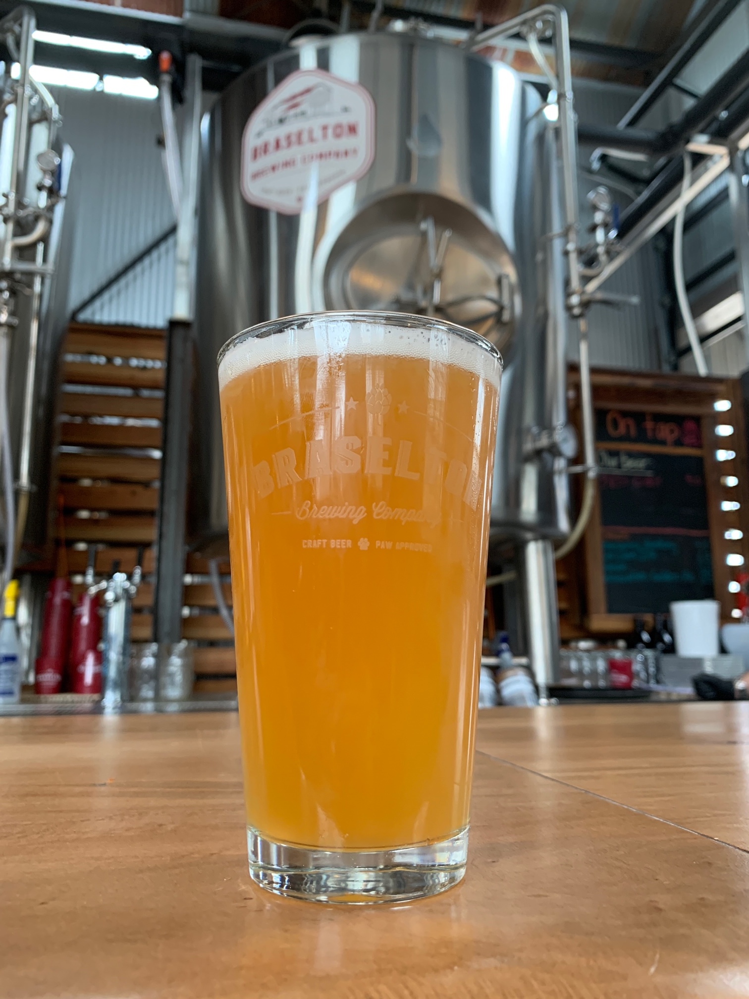 Fast Flyer Cream Ale